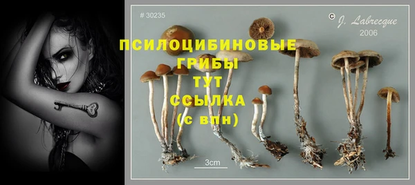 твердый Балабаново