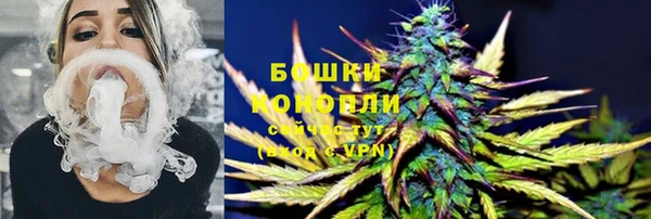 сатива Баксан