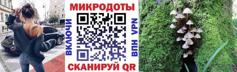 Псилоцибиновые грибы прущие грибы  дарк нет как зайти  Ессентуки  цена  