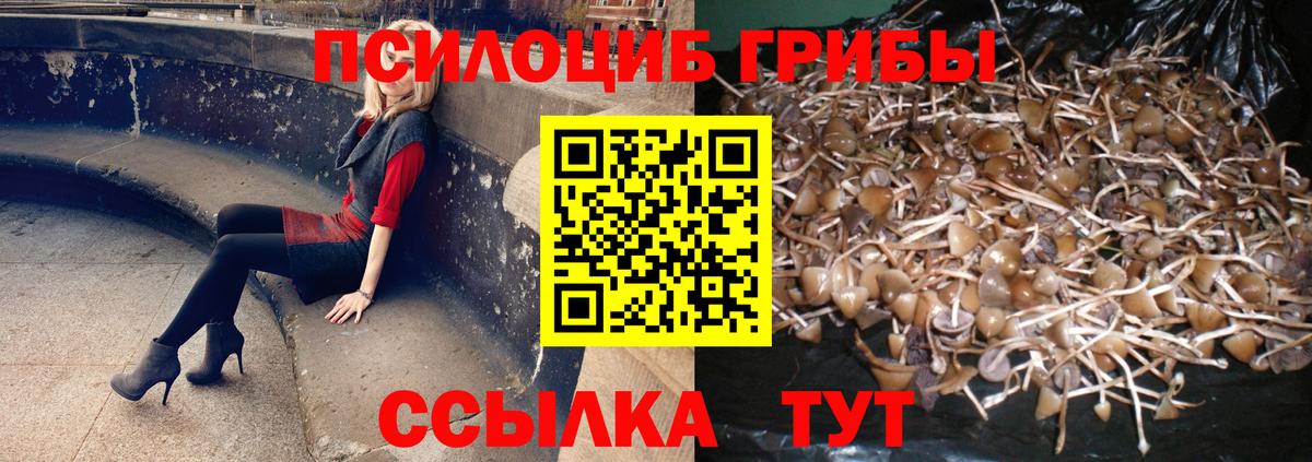 Галлюциногенные грибы MAGIC MUSHROOMS  Вход с VPN  Псилоцибиновые грибы GOLDEN TEACHER  закладки  Ессентуки 