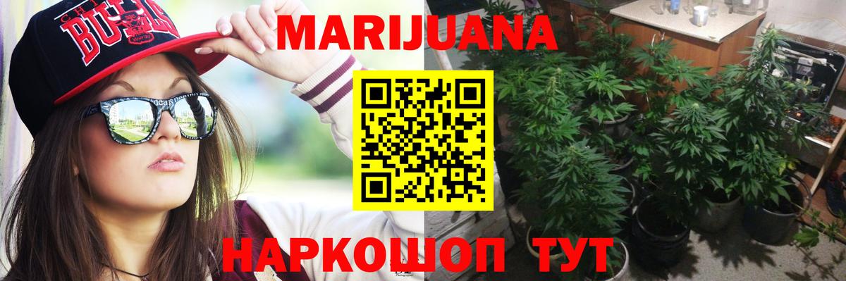 Бошки Шишки план  Вход с VPN  Ессентуки  Бошки марихуана гибрид  Марихуана Ganja 